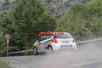 39° Rally di Pico 2017 CIR - IMG_8338